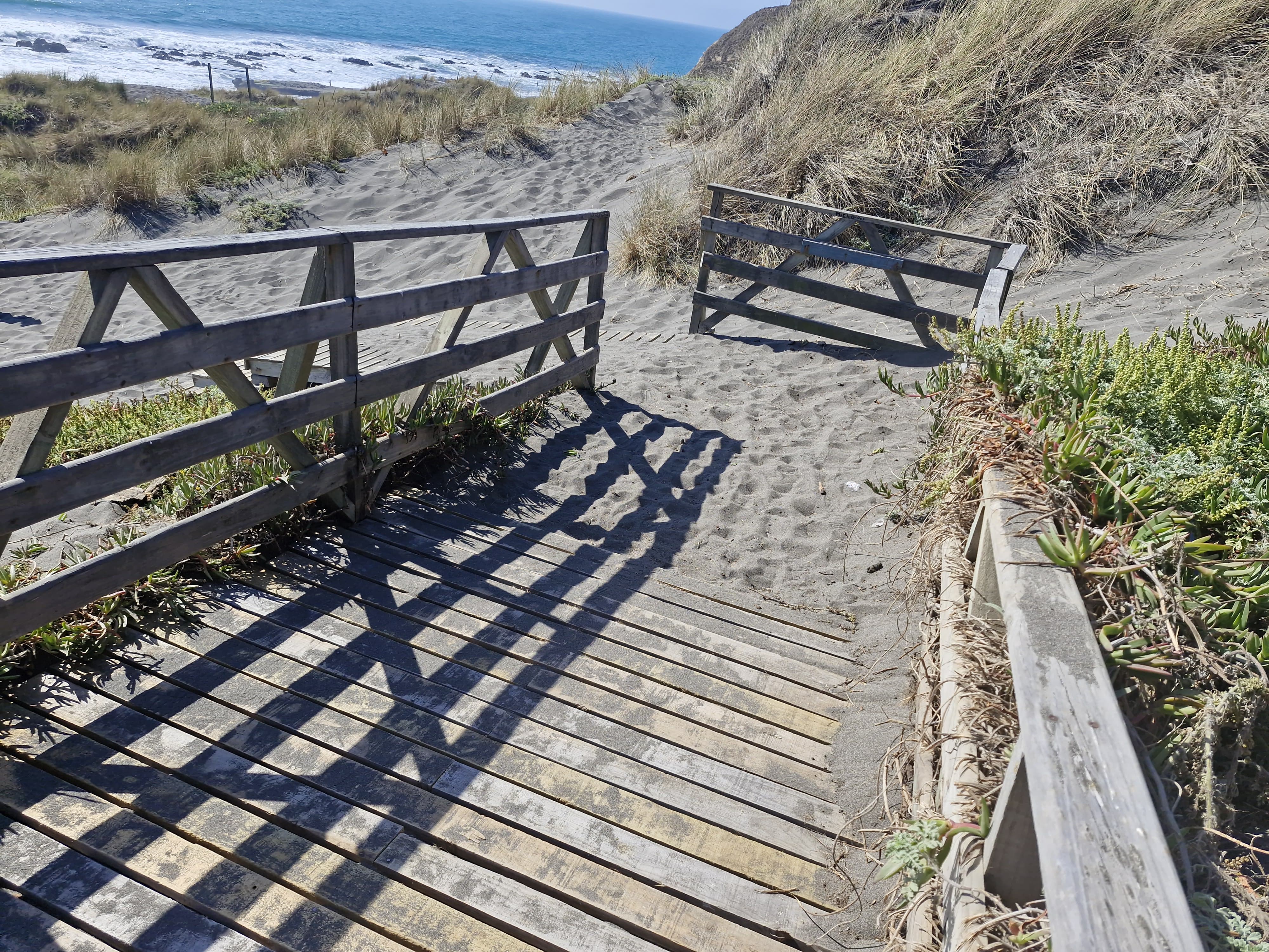 Fotografía del final del sendero para acceder a la arena de la playa